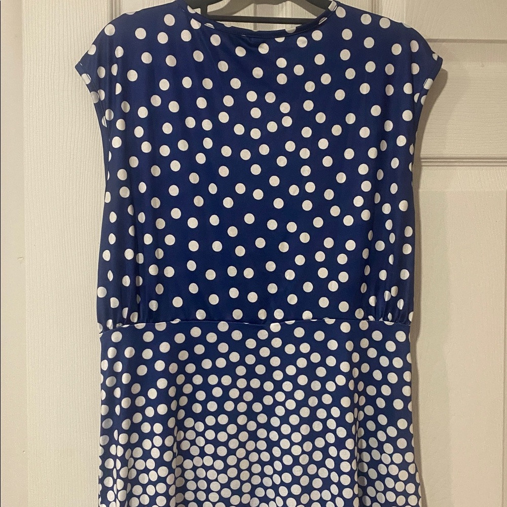 Navy Blue Polka Dot Dress - Picture 2 of 5